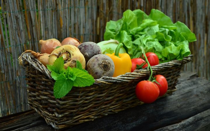 Das beste Rezept: Richtige Ernährung!